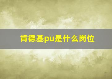 肯德基pu是什么岗位