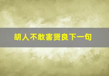 胡人不敢害贤良下一句