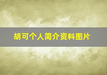 胡可个人简介资料图片