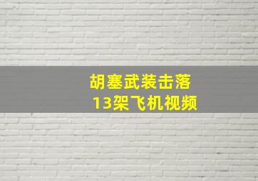 胡塞武装击落13架飞机视频