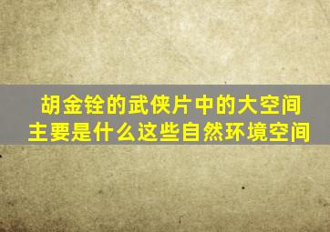 胡金铨的武侠片中的大空间主要是什么这些自然环境空间