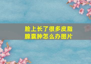 脸上长了很多皮脂腺囊肿怎么办图片