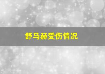 舒马赫受伤情况