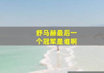 舒马赫最后一个冠军是谁啊