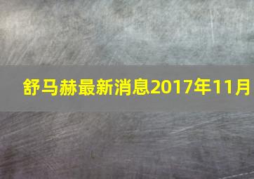 舒马赫最新消息2017年11月