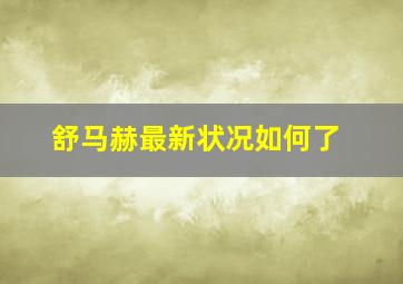 舒马赫最新状况如何了