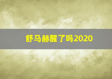 舒马赫醒了吗2020