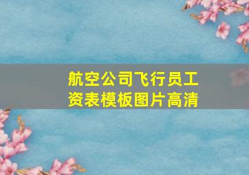 航空公司飞行员工资表模板图片高清