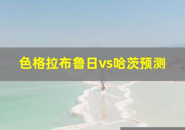 色格拉布鲁日vs哈茨预测