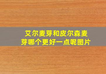 艾尔麦芽和皮尔森麦芽哪个更好一点呢图片