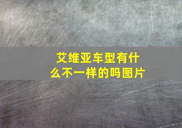 艾维亚车型有什么不一样的吗图片