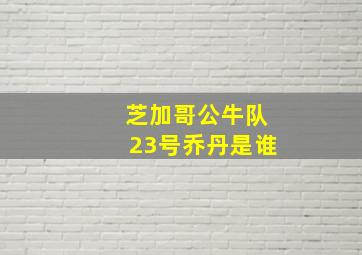 芝加哥公牛队23号乔丹是谁