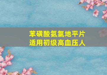 苯磺酸氨氯地平片适用初级高血压人