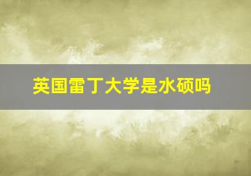 英国雷丁大学是水硕吗