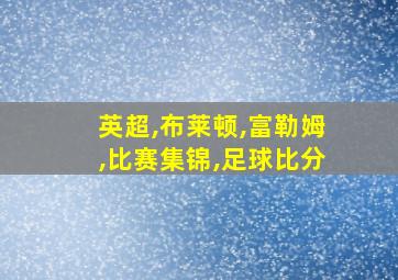 英超,布莱顿,富勒姆,比赛集锦,足球比分