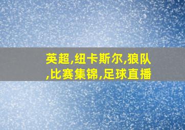 英超,纽卡斯尔,狼队,比赛集锦,足球直播