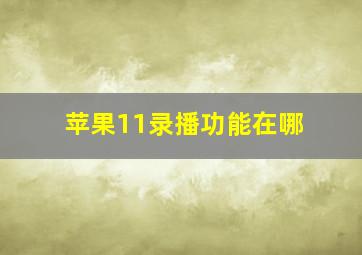 苹果11录播功能在哪