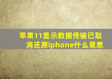 苹果11显示数据传输已取消还原iphone什么意思