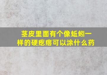 茎皮里面有个像蚯蚓一样的硬疙瘩可以涂什么药