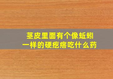 茎皮里面有个像蚯蚓一样的硬疙瘩吃什么药