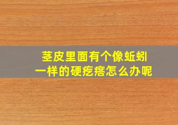 茎皮里面有个像蚯蚓一样的硬疙瘩怎么办呢