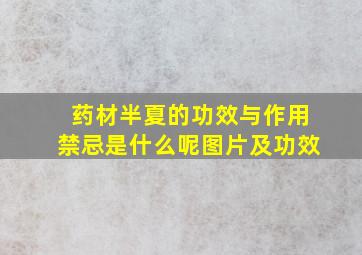 药材半夏的功效与作用禁忌是什么呢图片及功效