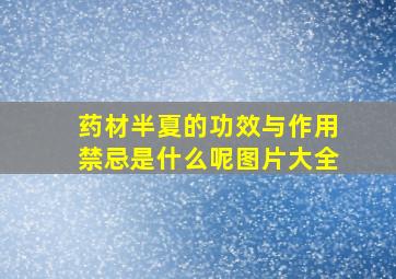 药材半夏的功效与作用禁忌是什么呢图片大全