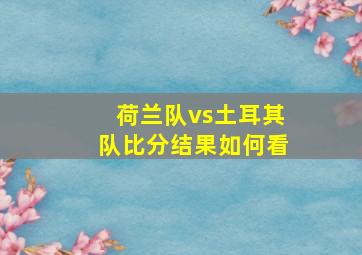 荷兰队vs土耳其队比分结果如何看