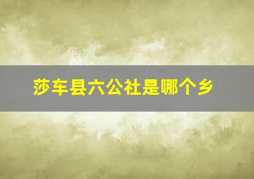 莎车县六公社是哪个乡