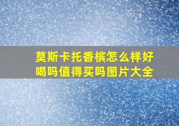 莫斯卡托香槟怎么样好喝吗值得买吗图片大全