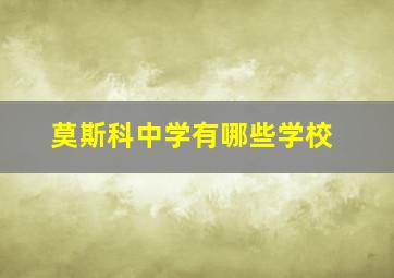 莫斯科中学有哪些学校