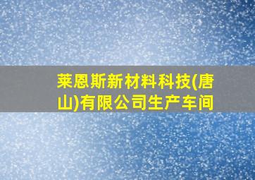 莱恩斯新材料科技(唐山)有限公司生产车间