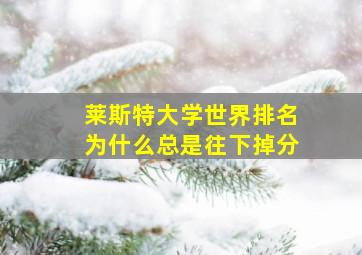 莱斯特大学世界排名为什么总是往下掉分