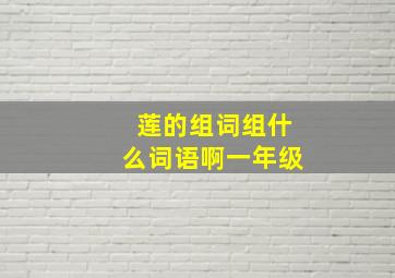 莲的组词组什么词语啊一年级