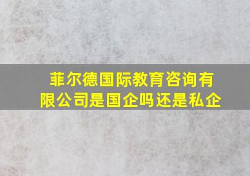 菲尔德国际教育咨询有限公司是国企吗还是私企