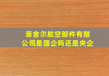 菲舍尔航空部件有限公司是国企吗还是央企