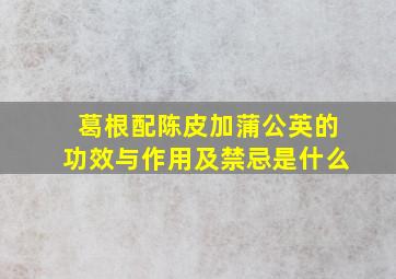 葛根配陈皮加蒲公英的功效与作用及禁忌是什么