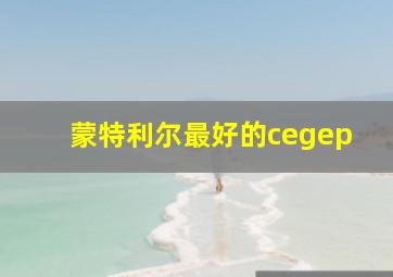 蒙特利尔最好的cegep