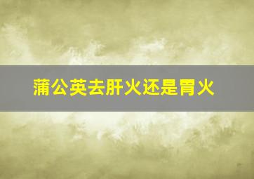 蒲公英去肝火还是胃火