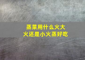 蒸菜用什么火大火还是小火蒸好吃