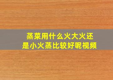 蒸菜用什么火大火还是小火蒸比较好呢视频