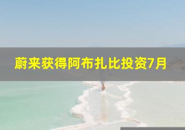 蔚来获得阿布扎比投资7月