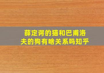 薛定谔的猫和巴甫洛夫的狗有啥关系吗知乎