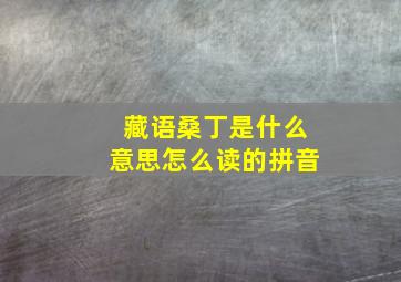 藏语桑丁是什么意思怎么读的拼音