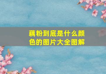 藕粉到底是什么颜色的图片大全图解