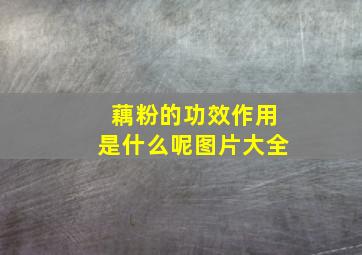 藕粉的功效作用是什么呢图片大全