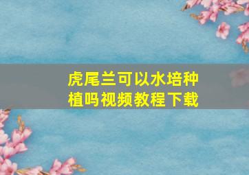 虎尾兰可以水培种植吗视频教程下载