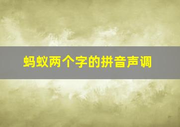 蚂蚁两个字的拼音声调