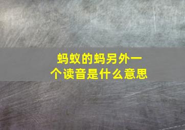 蚂蚁的蚂另外一个读音是什么意思