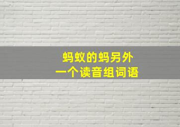 蚂蚁的蚂另外一个读音组词语